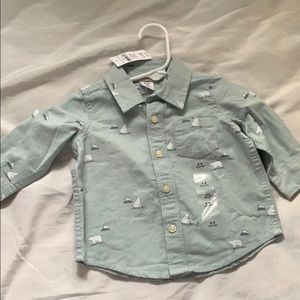 Collard shirt